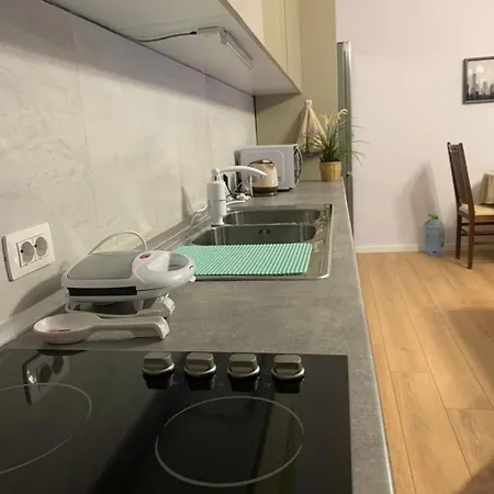 Apartment Comfort Apartment In Tirana Near To The Ministry Of Foreign Affairs Tirana