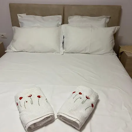 Comfort Apartment In Tirana Near To The Ministry Of Foreign Affairs * Tirana